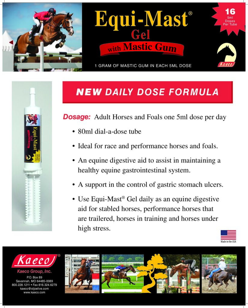 Equi-Mast® 16 Dose Gel