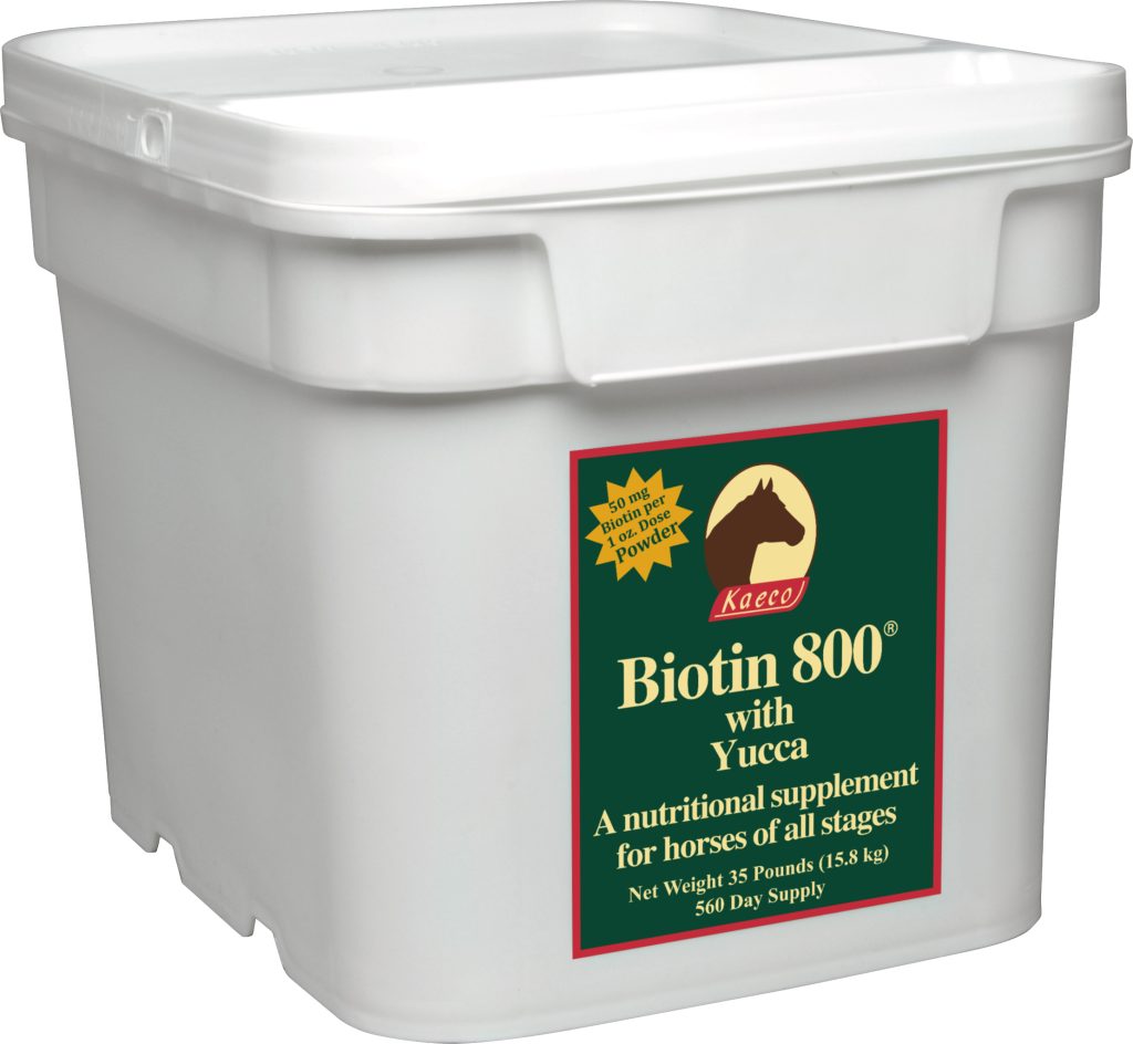 Biotin 800 Powder 35lb