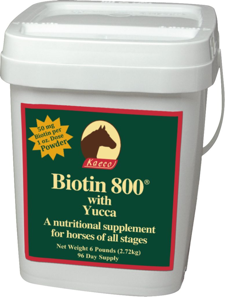 Biotin 800 Powder 6# Pail 96 Doses