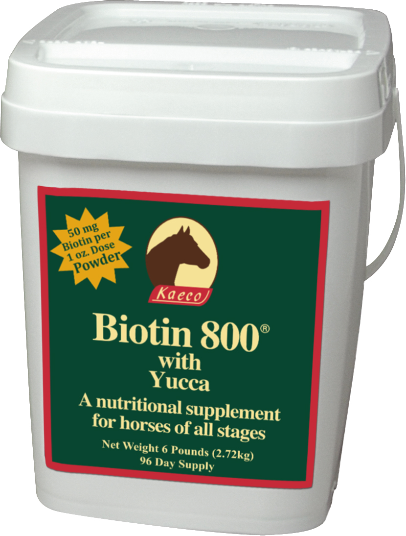 Biotin 800 Powder 6# Pail 96 Doses - Image 1