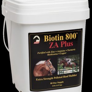 Biotin 800 ZA Plus 10 # Pail 80 Dose FREE FREIGHT