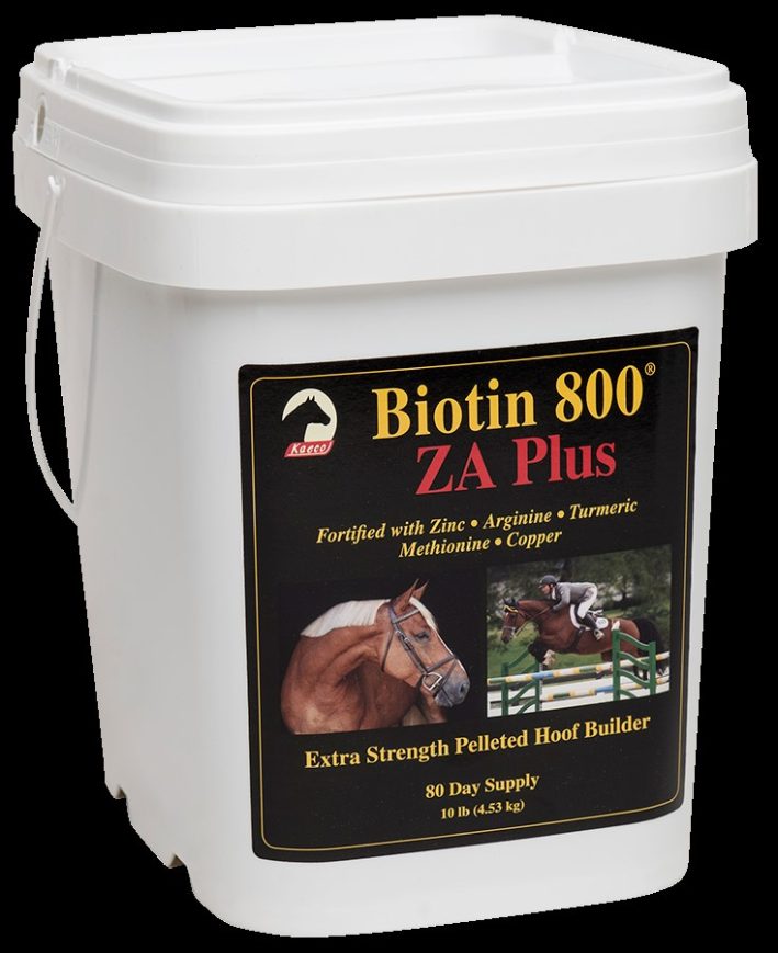 Biotin 800ZA Plus 10 # Pail 80 Dose FREE FREIGHT