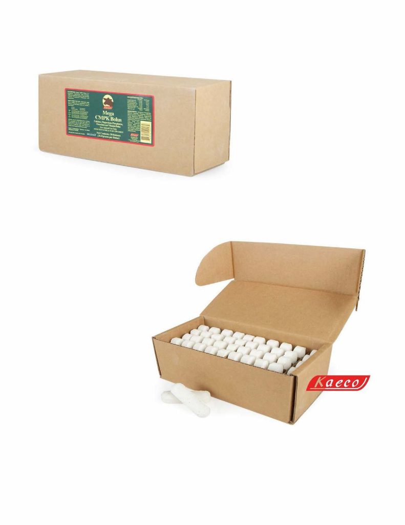 Mega CMPK Bolus 50's